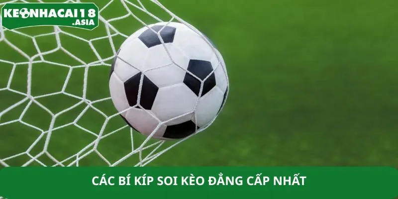 Các bí kíp soi kèo đẳng cấp nhất Các bí kíp soi kèo đẳng cấp nhất